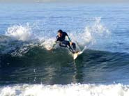 DSCF6981