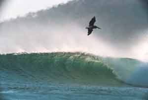 Playa Grande - Costa Rica Surf